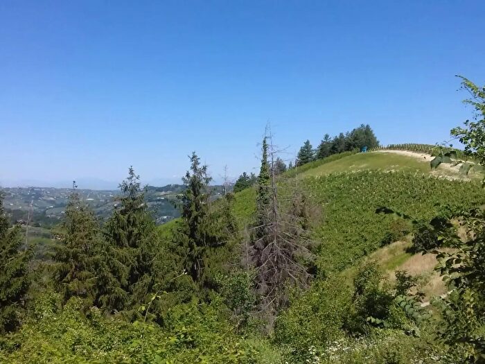 Casa con 5 locali in vendita in Via Canelli, Cassinasco