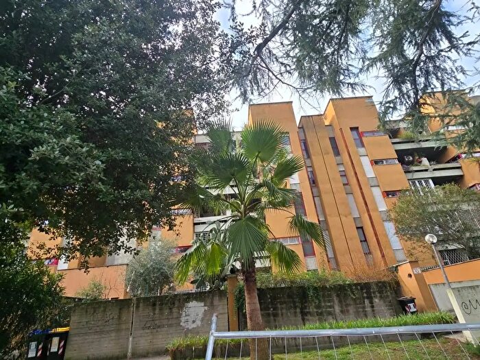 Appartamento bilocale in affitto in Via Giuseppe Bertero, Roma