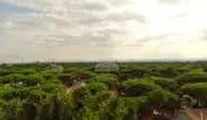 Casa quadrilocale in vendita in Milano Marittima, Cervia