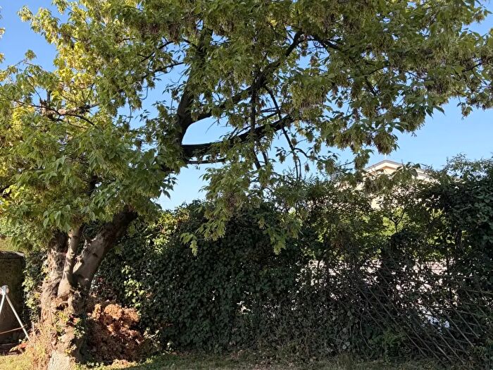 Appartamento bilocale in affitto in Via San Pio X, Castelfranco Veneto