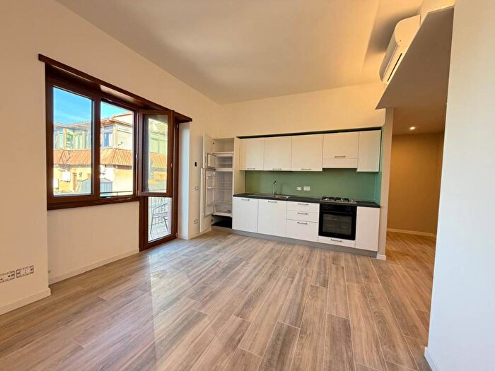 Appartamento monolocale in affitto in Via Ildebrando della Giovanna, Massimina, Roma