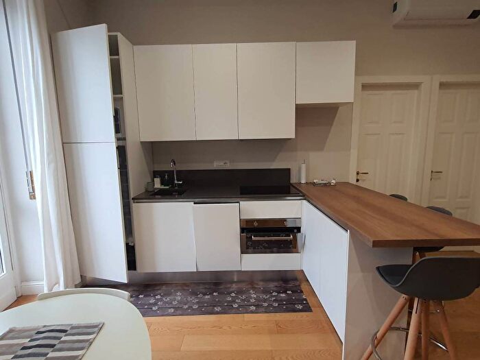 Appartamento bilocale in affitto in Via Conte Emanuele Thesauro, San Salvario Dante, Torino