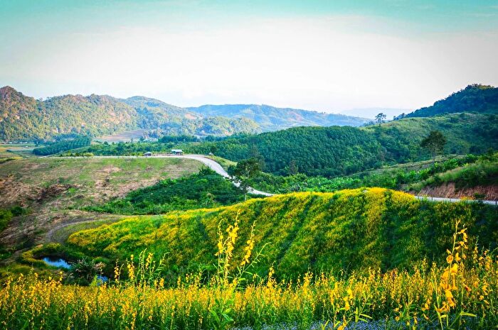 Casa con 7 locali in vendita in Chianni