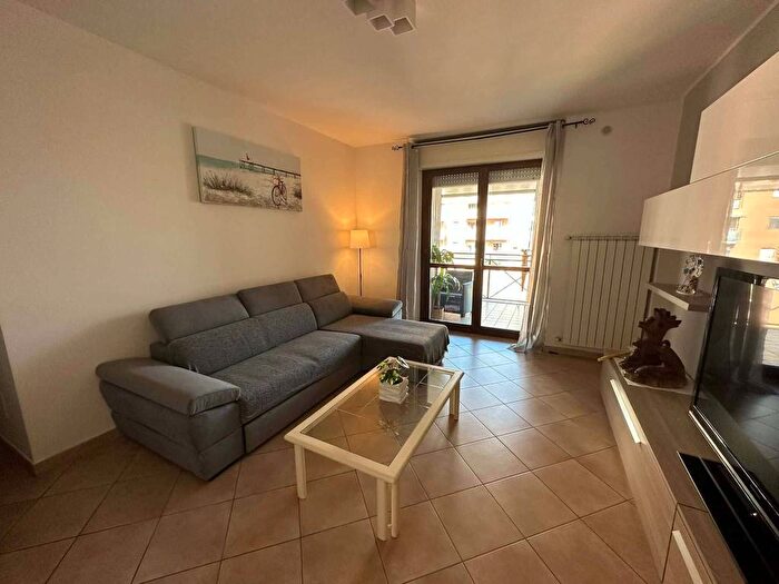 Appartamento trilocale in affitto in Corso Enrico Gamba, Parco Dora, Torino