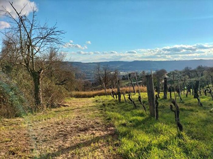 Casa trilocale in vendita in Località Catafosso, Penna In Teverina