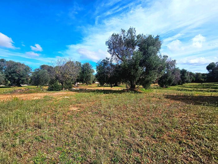 Casa monolocale in vendita in Carovigno
