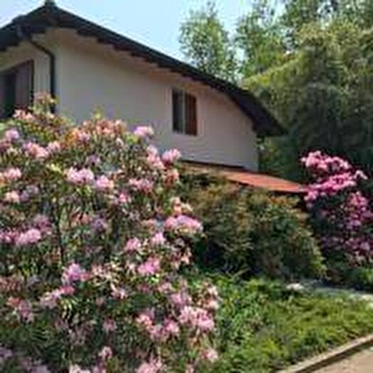 Appartamento trilocale in affitto in LavenoMombello