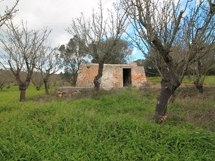 Casa monolocale in vendita in Ostuni