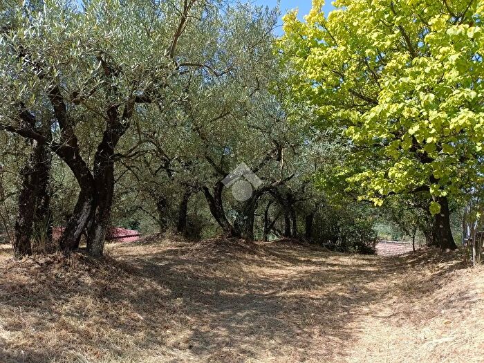 Casa monolocale in vendita in Località Casa Mammola, Olevano Romano