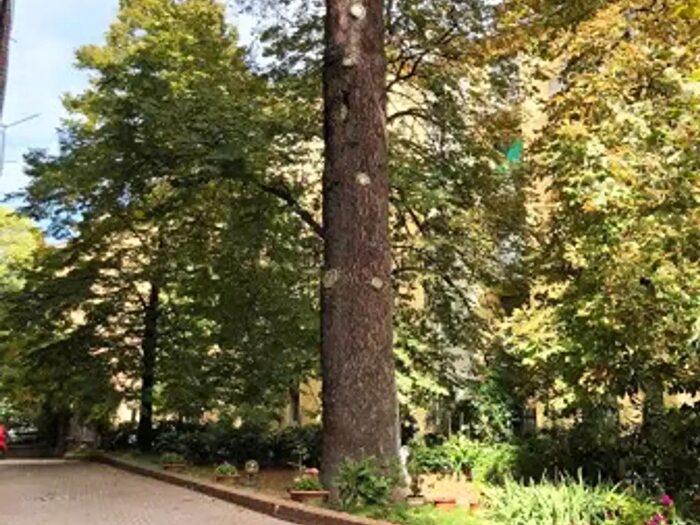 Appartamento con 8 locali in vendita in Bologna