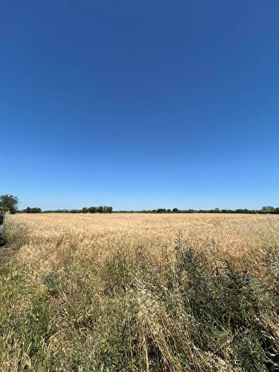 Casa in vendita in Via dellOlivo, Tuscania
