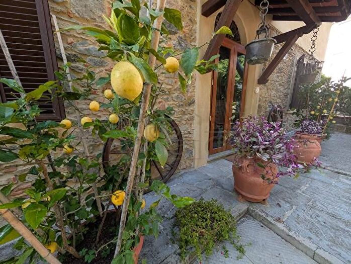 Casa con 8 locali in vendita in Massarosa