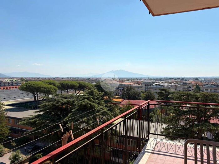 Appartamento trilocale in affitto in Via Archimede, San Nicola la Strada