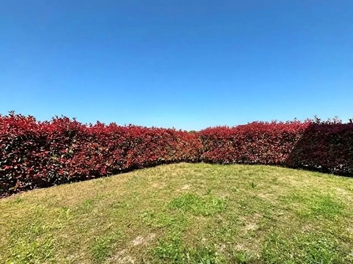 Appartamento trilocale in vendita in Capannoli