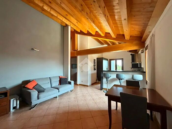 Appartamento trilocale in vendita in Vicolo delle Risorgive, Carbonera