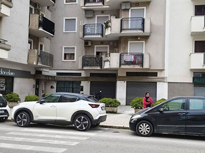 Appartamento bilocale in affitto in Trani