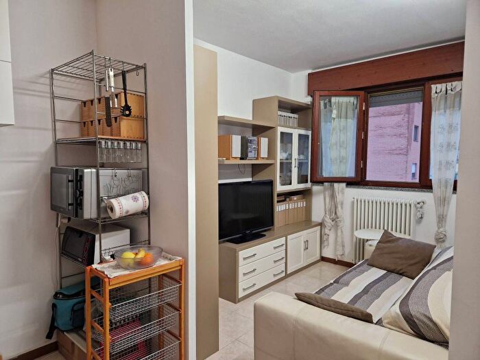 Appartamento monolocale in affitto in Via Rickenbach, Melegnano