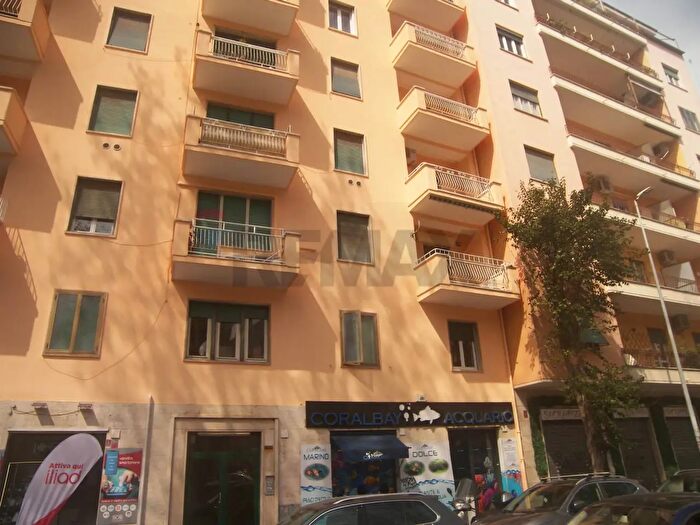 Appartamento bilocale in affitto in Roma