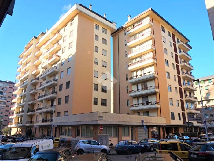 Appartamento bilocale in affitto in Via Casentino, Novoli, Firenze