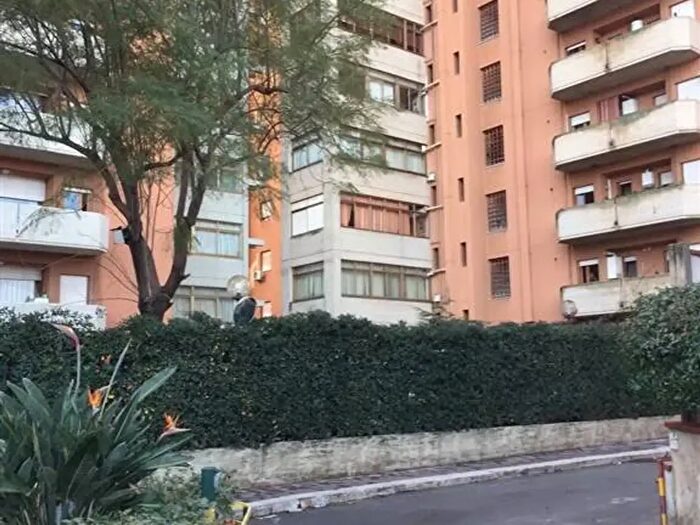 Appartamento bilocale in affitto in Via Giotto, Palermo