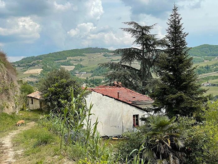 Casa con 10 locali in vendita in Cossano Belbo