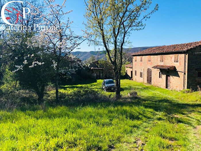 Casa con 19 locali in vendita in Frazione Carbonile, Dicomano