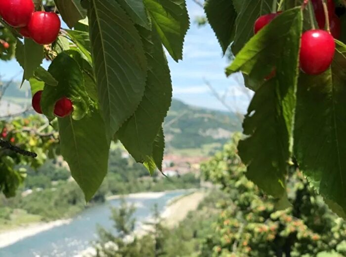 Appartamento con 5 locali in vendita in Via Francigene Bobbio, Bobbio