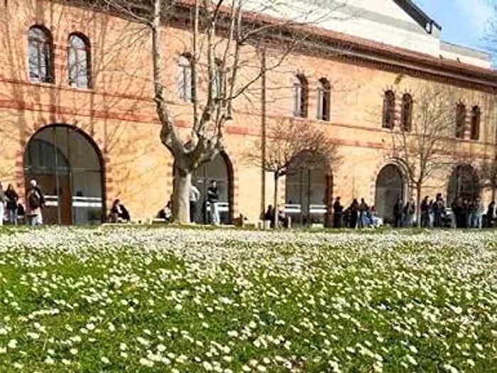 Appartamento quadrilocale in affitto in Ancona