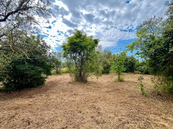 Casa monolocale in vendita in Via Ficozzivoli, Poli