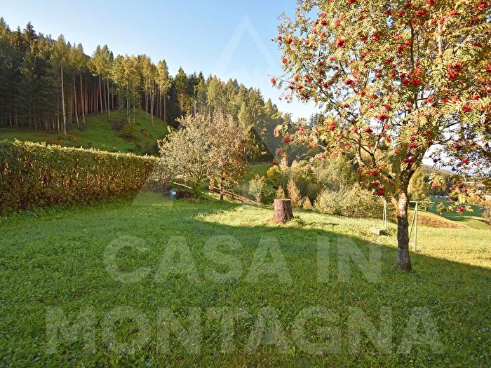 Appartamento con 6 locali in affitto in Via Cavelonte, Centro, Ziano di Fiemme