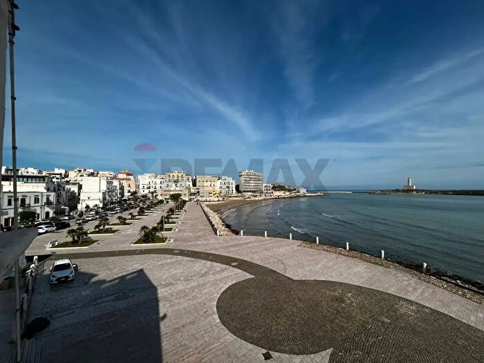 Appartamento con 6 locali in vendita in Piazza Vittorio Emanuele II, Vieste