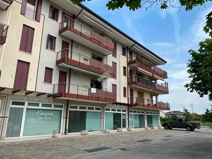 Appartamento trilocale in vendita in Via Borgo Padova, Castelfranco Veneto