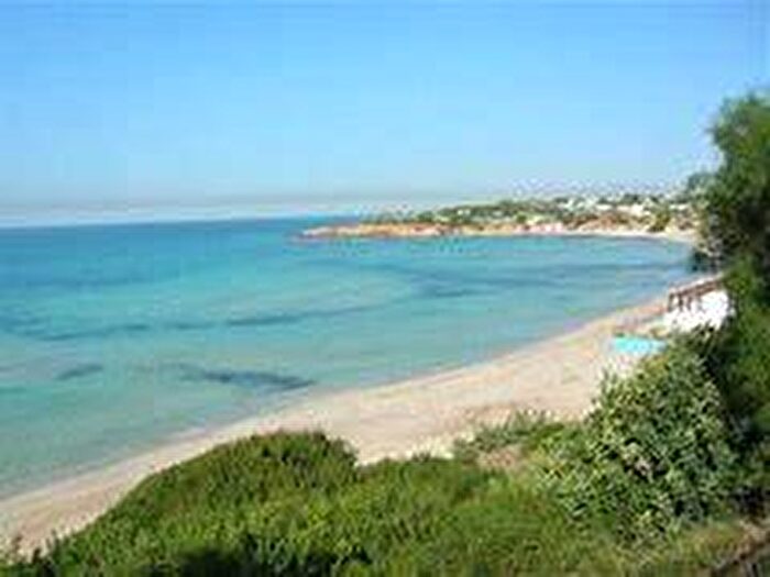 Casa bilocale in affitto in Viale Canne, Pulsano