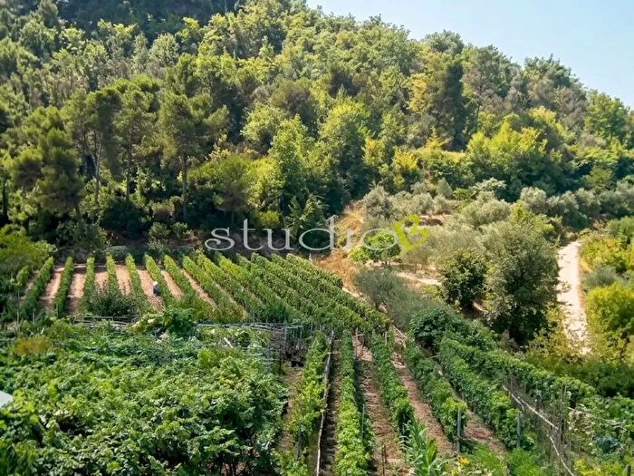 Casa con 8 locali in vendita in Località Santa Croce Snc, San Biagio Della Cima