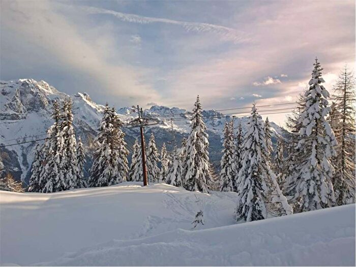 Appartamento bilocale in affitto in Dimaro Folgarida