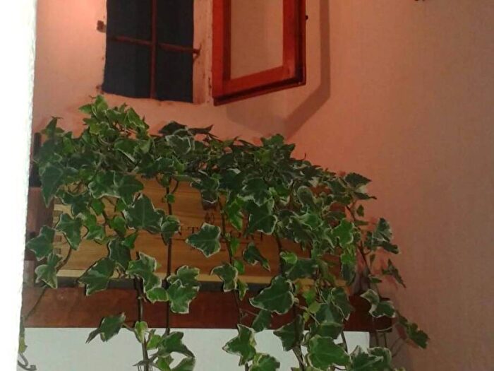 Appartamento bilocale in affitto in Via Della Vigna Vecchia No Number, Signoria Uffizi, Firenze