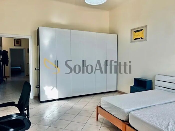 Appartamento quadrilocale in affitto in Via Trieste, Pisa