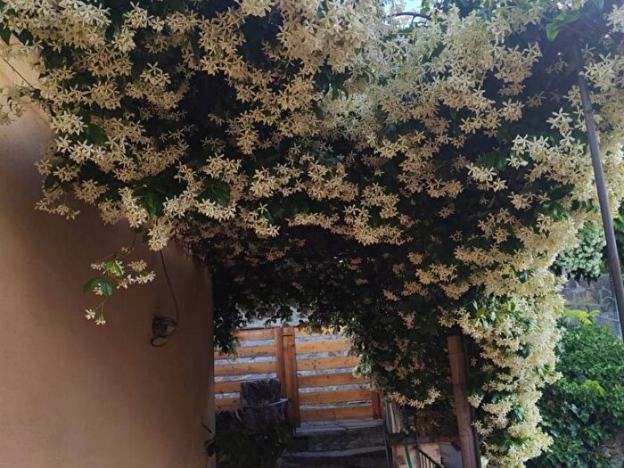 Appartamento quadrilocale in affitto in Tuscania