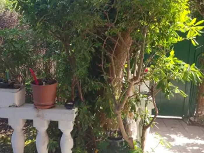 Casa quadrilocale in affitto in Via del Capricorno, Ladispoli