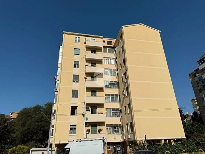 Appartamento trilocale in affitto in Via Quirra, Cagliari