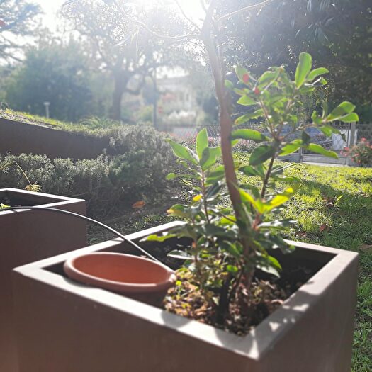 Casa con 5 locali in vendita in Via Fasolo, Montegrotto Terme