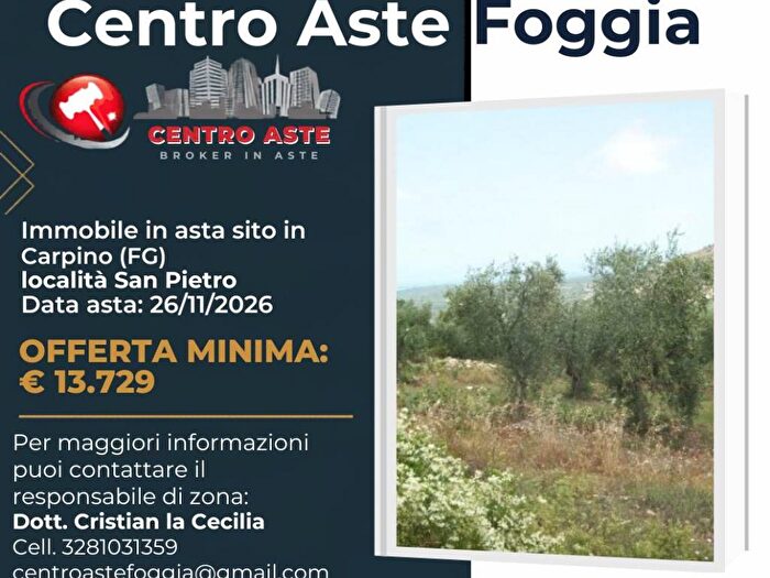 Casa in affitto in località San Pietro snc Carpino FG Italia, Carpino