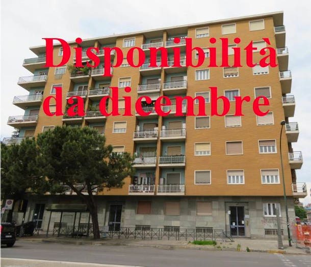 Appartamento bilocale in affitto in Via Pio VII, Mirafiori Sud Onorato Vigliani, Torino