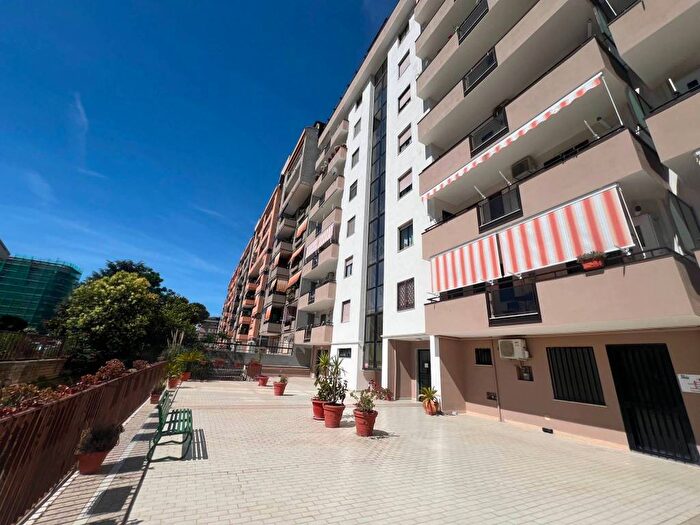 Appartamento quadrilocale in affitto in Via degli Oleandri, Parco degli Aranci, Caserta