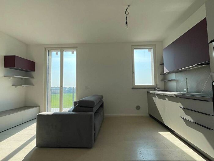 Appartamento bilocale in affitto in Via Rosa Parks, Monticello Bolgiaro, San Donato Milanese