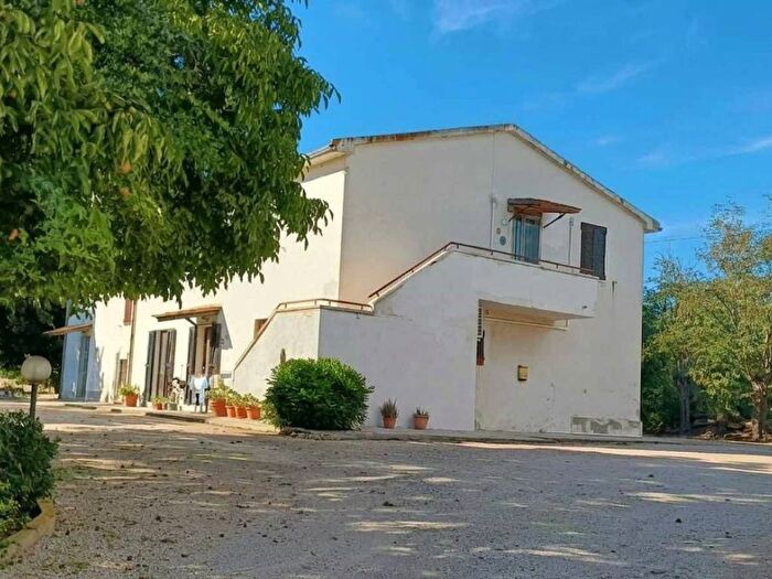 Appartamento quadrilocale in affitto in Strada Litoranea, Capalbio