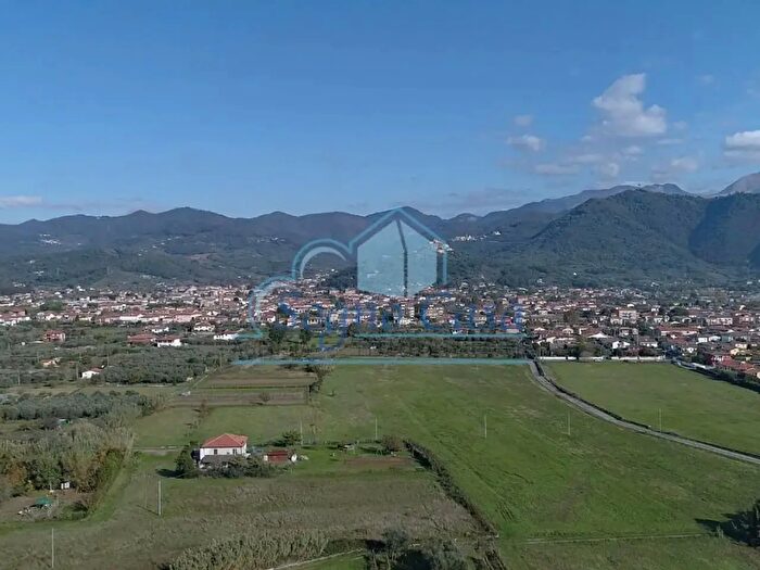 Appartamento quadrilocale in affitto in Luni