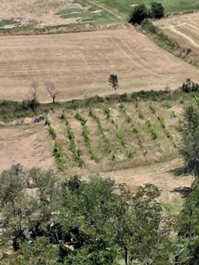 Casa monolocale in vendita in Via Giacomo Leopardi, San Leo