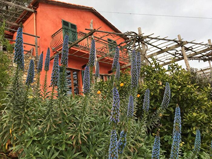 Casa quadrilocale in affitto in Via Gave, Santa Margherita Ligure